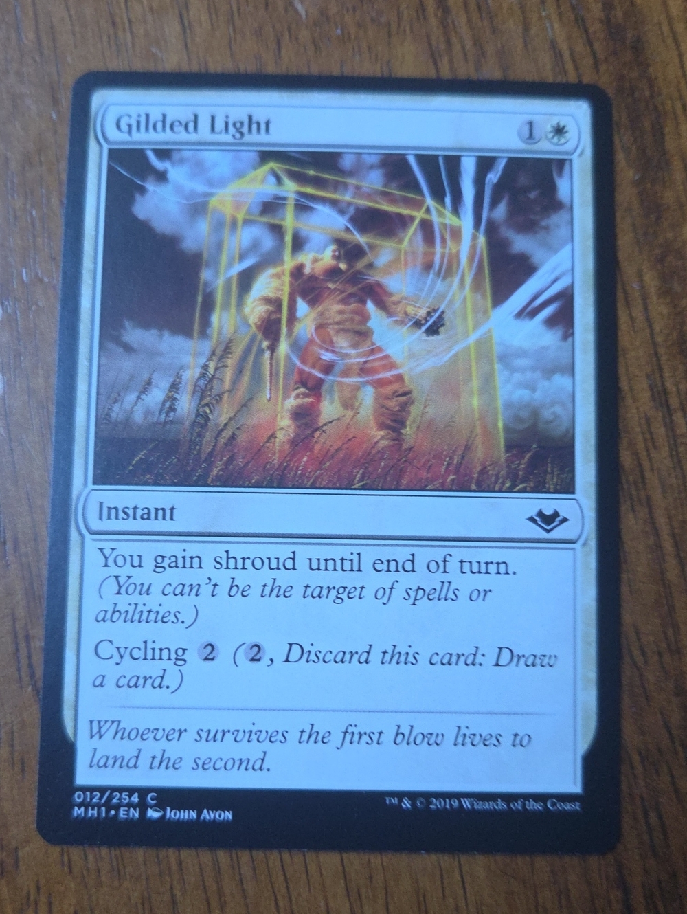 Gilded Light White Instant Card - Magic: The Gathering